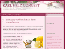 Tablet Screenshot of karlfieldconcept.com